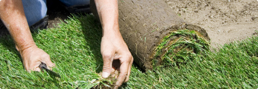 lawn laying